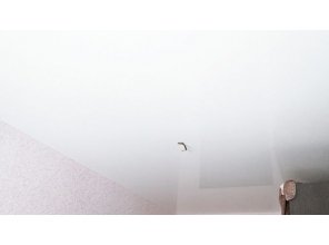 Монтаж потолка в детской 8 м2 с использованием пленки VIPCEILING серии MONLANGE L9001 (2.15)