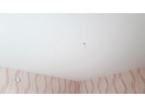 Монтаж потолка для зала 18 м2 с использованием пленки VIPCEILING серии MONLANGE M9001 (4.00)